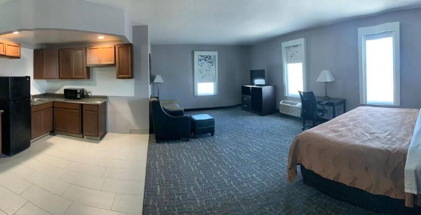 장애인을 위한 킹사이즈 침대 스탠다드 룸, Quality Inn & Suites