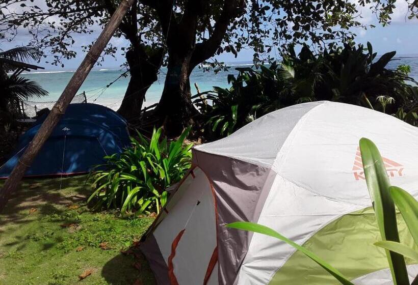 چادر با خدمات رفاهی استاندارد, Port Antonio Brian S Beach House