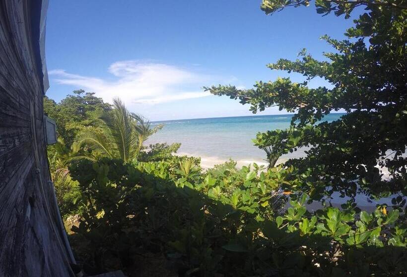 اتاق لوکس, Port Antonio Brian S Beach House