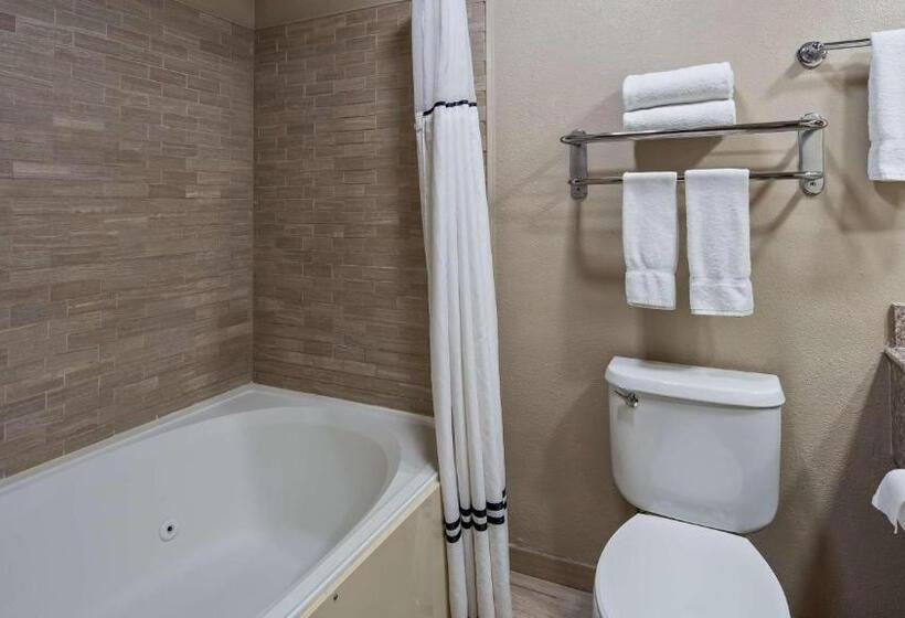 חדר סטנדרט עם מיטת קינג, Best Western Plus Lubbock Windsor Inn