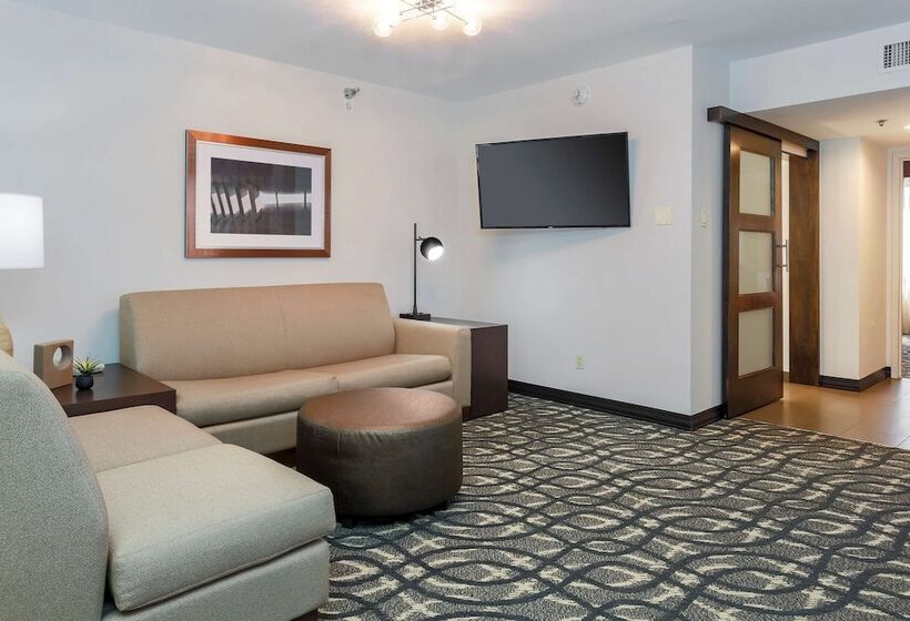 سوییت, Embassy Suites By Hilton Dallas Love Field