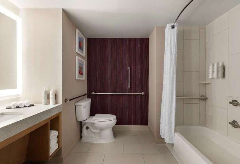 اتاق استاندارد, Embassy Suites By Hilton Dallas Love Field