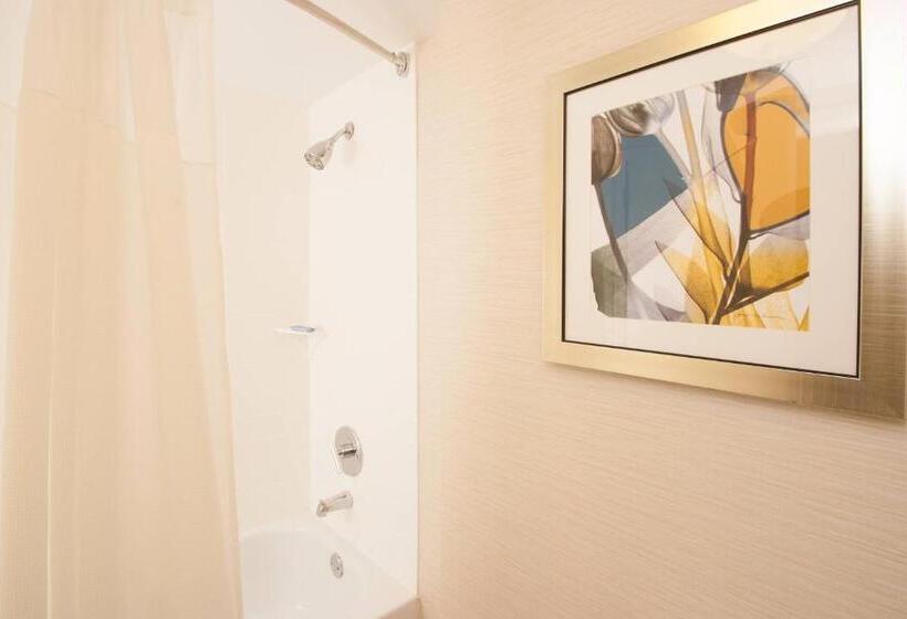 Стандартный Номер Кровать Кинг, Fairfield Inn Charlotte Gastonia