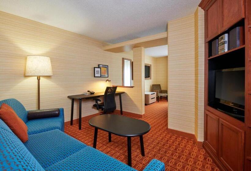 Люкс Кровать Кинг, Fairfield Inn & Suites Detroit Farmington Hills