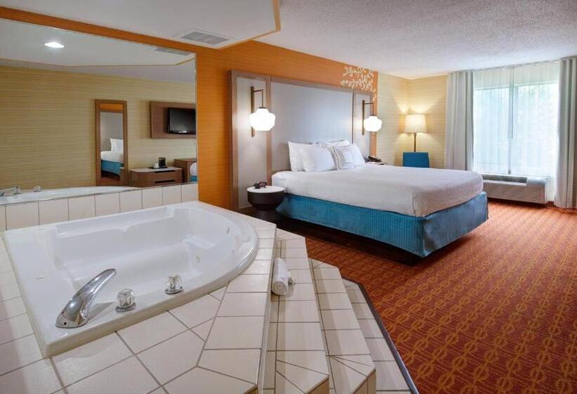Стандартный Номер Кровать Кинг, Fairfield Inn & Suites Detroit Farmington Hills