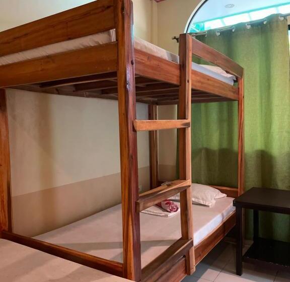 4인용 스탠다드 룸, Austrias Guest House