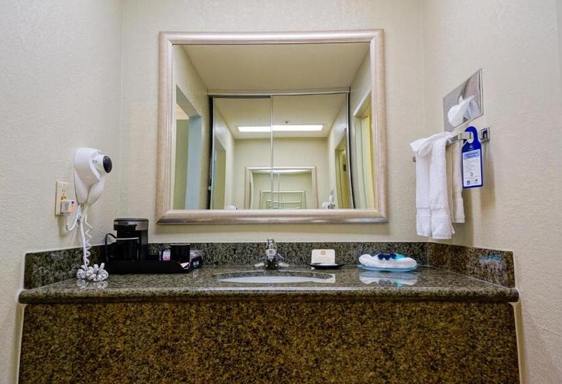 Номер Стандарт, Best Western Plus Forest Park Inn