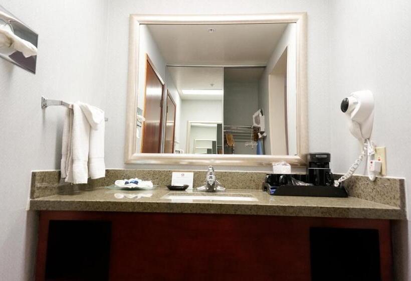 Номер Executive Кровать Кинг, Best Western Plus Forest Park Inn