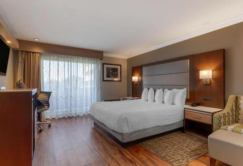 Номер Стандарт Кровать Кинг Адаптированный для Инвалидов, Best Western Plus Forest Park Inn