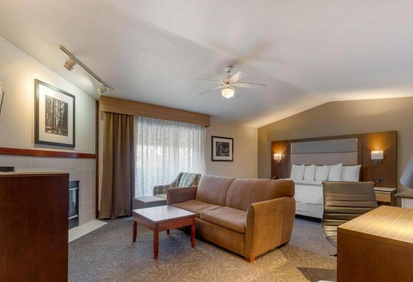 Номер Стандарт Адаптированный для Инвалидов, Best Western Plus Forest Park Inn