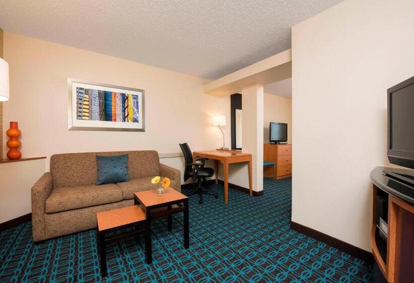 سوئیت با تخت بزرگ, Fairfield Inn & Suites By Marriott Bloomington