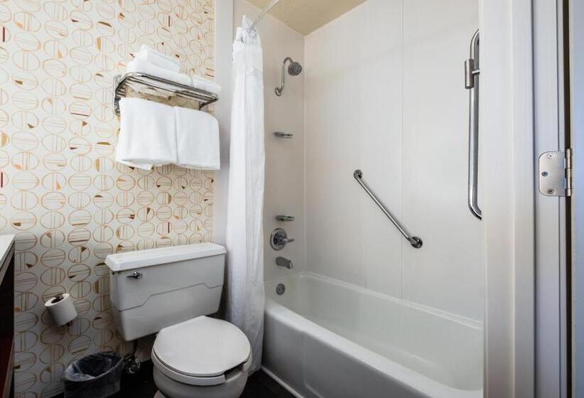 适用于残疾人士的豪华房间, Holiday Inn Grand Haven Spring Lake, An Ihg