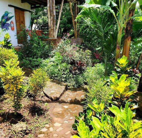 اتاق استاندارد با چشم‌انداز دریاچه, The Jungle