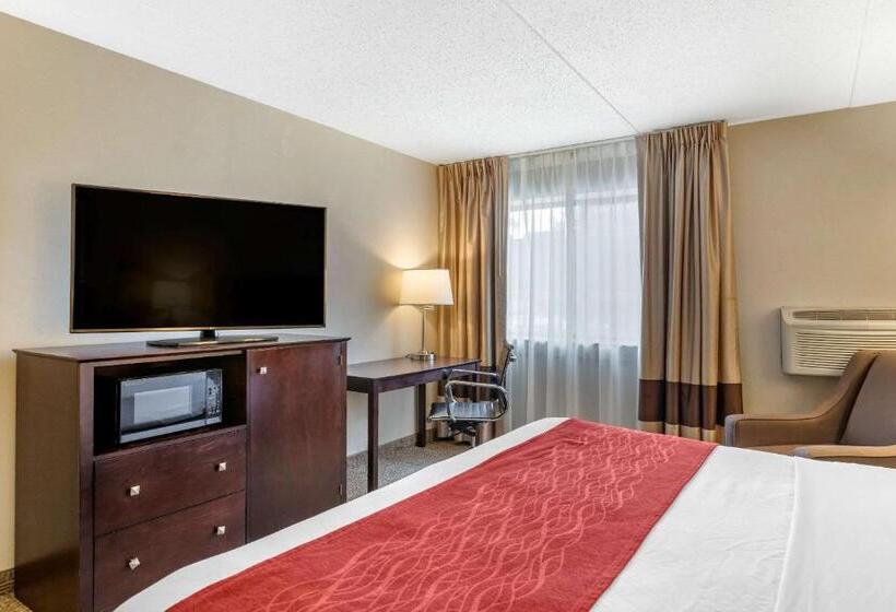 Стандартный Номер Кровать Кинг, Comfort Inn
