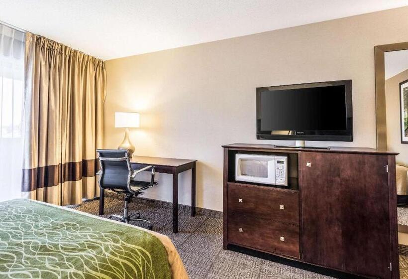 Номер Стандарт Адаптированный для Инвалидов, Comfort Inn