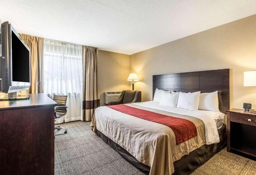 Люкс Кровать Кинг, Comfort Inn