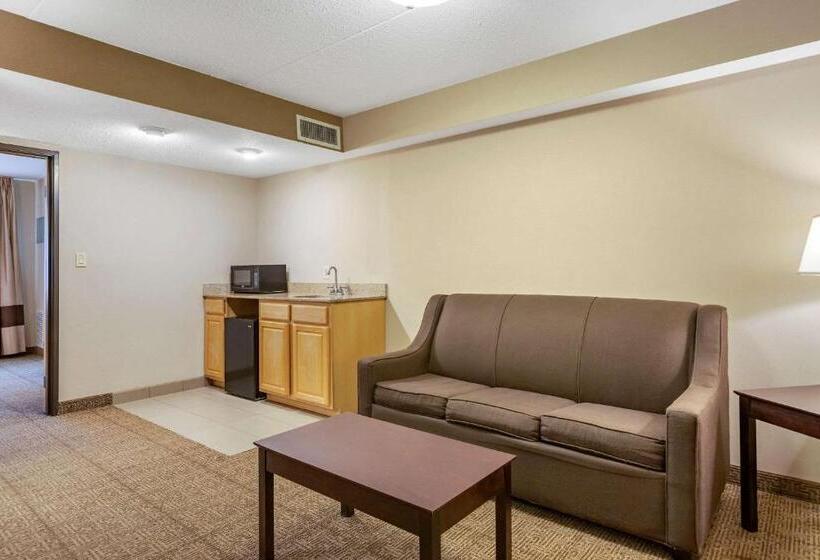 Люкс Кровать Кинг, Comfort Inn