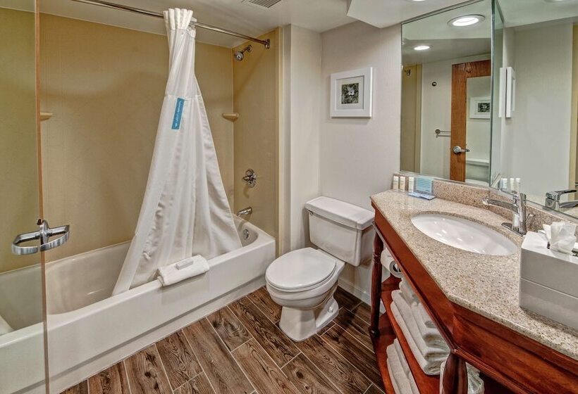 Номер Стандарт, Hampton Inn By Hilton Charlotte/matthews