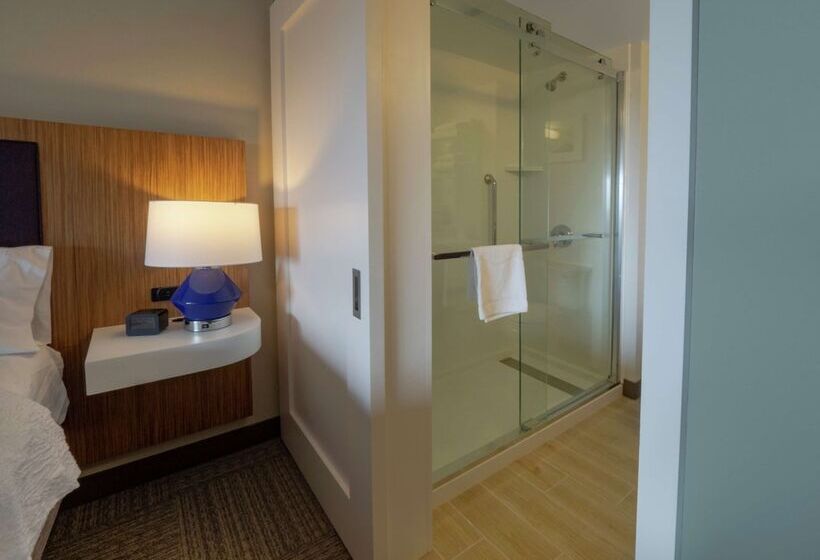 Standard Studio Double Bed, Hampton Inn Hazleton