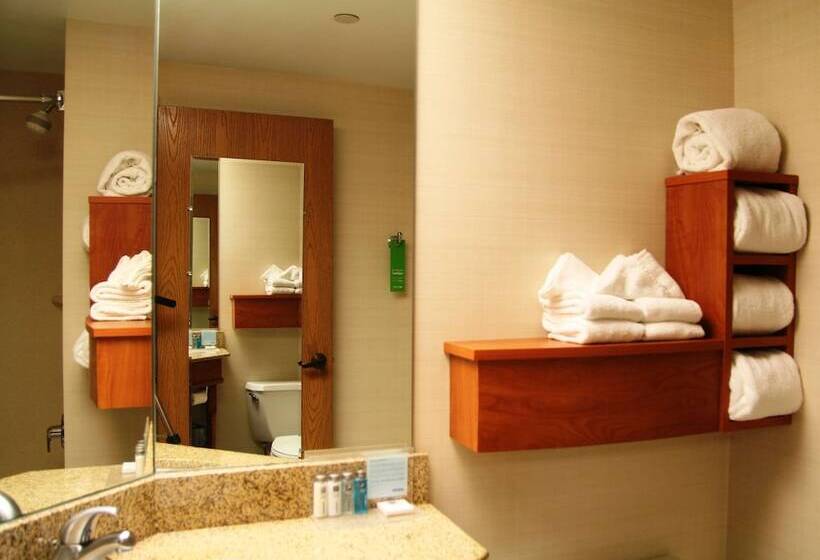Standard Room, Hampton Inn Joliet  I80