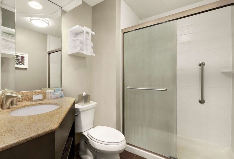 스탠다드 룸 킹사이즈 침대, Hampton Inn & Suites New Orleans Downtown