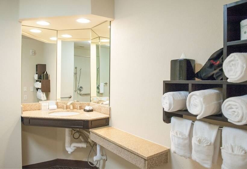 장애인을 위한 킹사이즈 침대 스탠다드 룸, Hampton Inn & Suites New Orleans Downtown