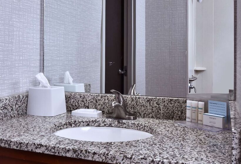 Номер Стандарт Адаптированный для Инвалидов, Hampton Inn Princeton