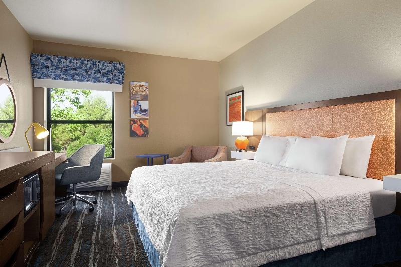 스탠다드 룸 킹사이즈 침대, Hampton Inn Sacramento/rancho Cordova