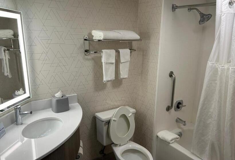 带2个双人床的标准工作室, Holiday Inn Express Crestwood, An Ihg