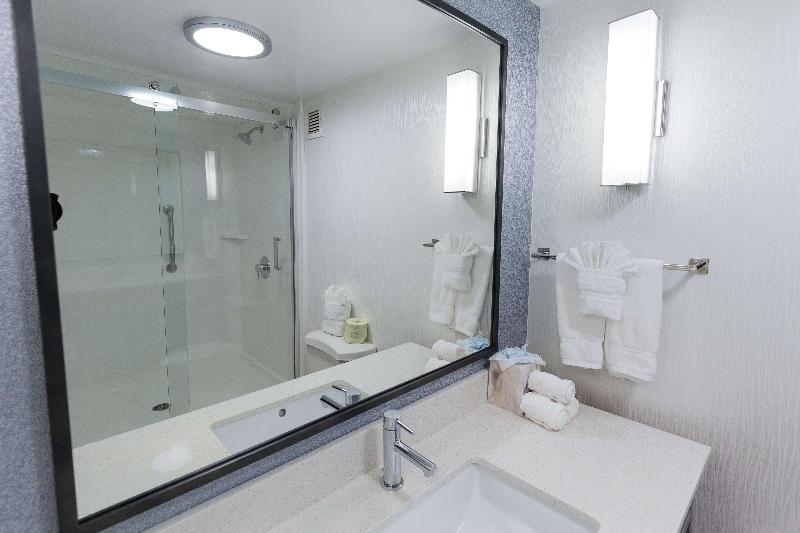 Номер Премиум, Hilton Garden Inn Atlanta North/johns Creek