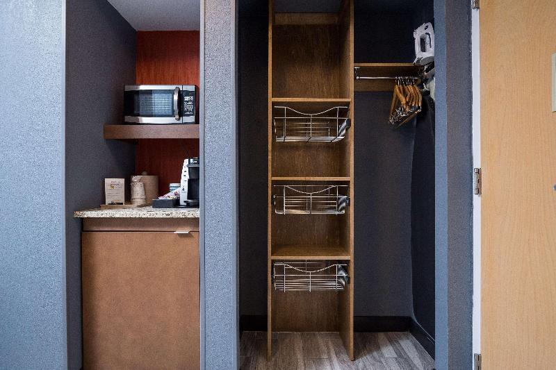 Номер Премиум, Hilton Garden Inn Atlanta North/johns Creek