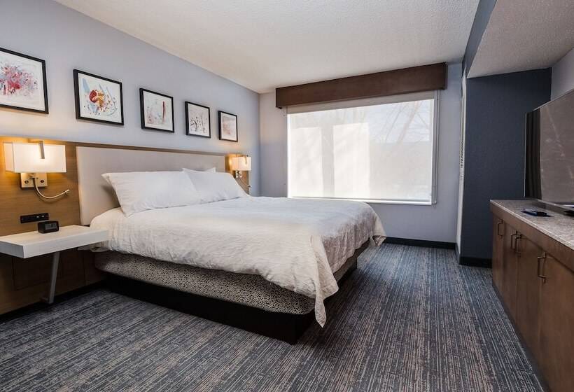 Люкс, Hilton Garden Inn Atlanta North/johns Creek