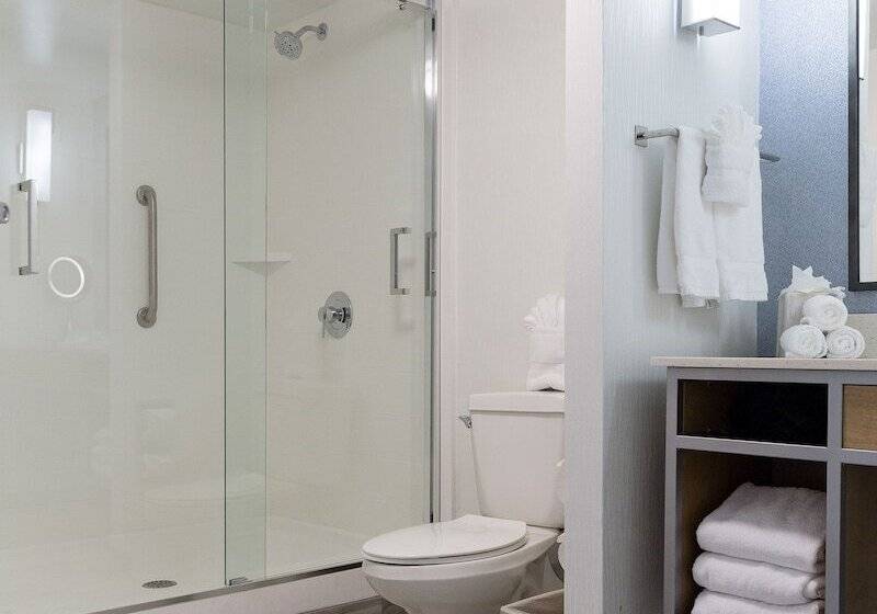 Номер Стандарт, Hilton Garden Inn Atlanta North/johns Creek