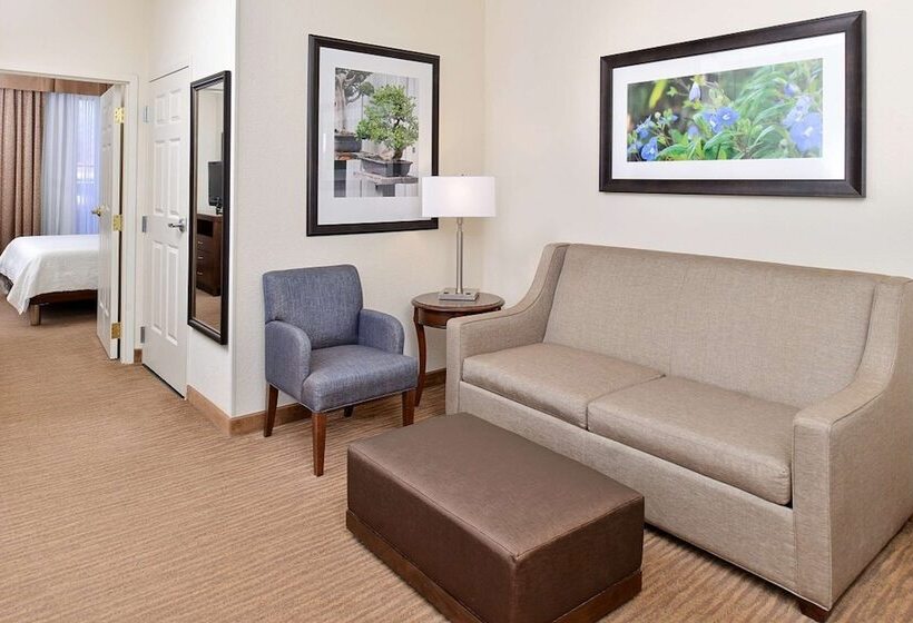 חדר סטנדרט, Hilton Garden Inn Dallas/addison