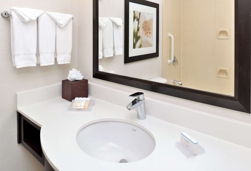 חדר סטנדרט מותאם לאדם עם מוגבלויות, Hilton Garden Inn Dallas/addison