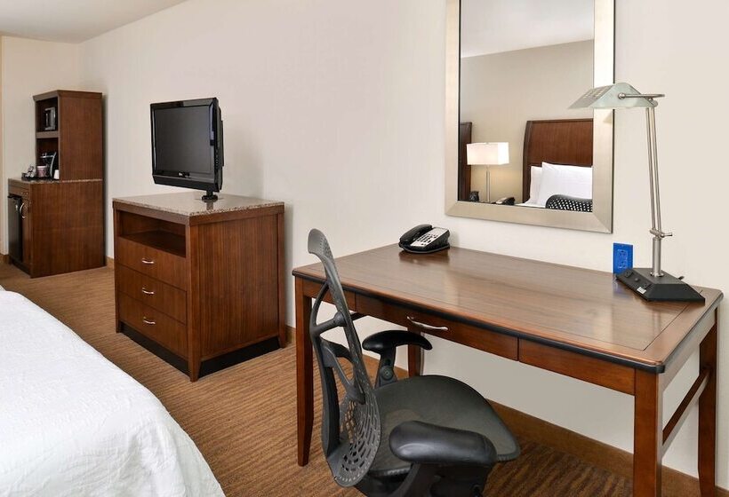 Chambre Standard Adaptée aux Personnes à Mobilité Réduite, Hilton Garden Inn Dallas/addison