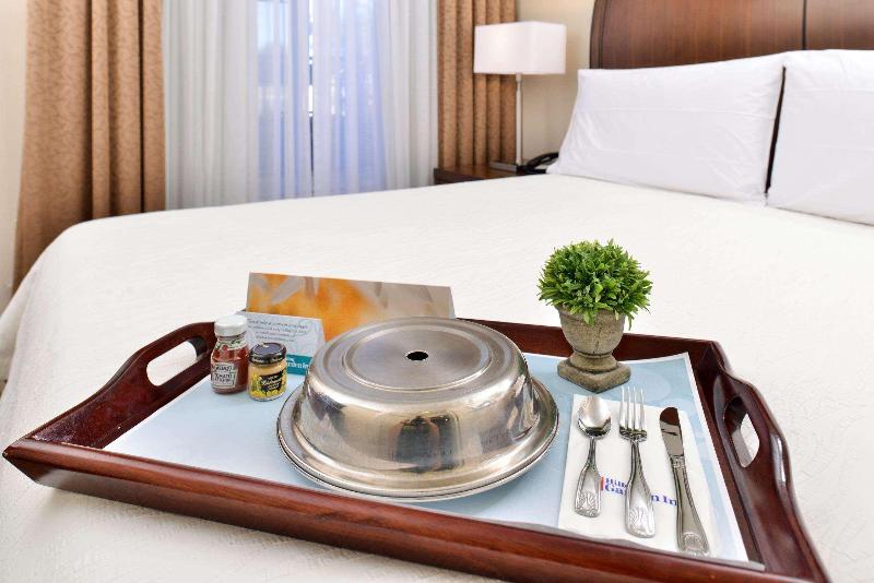 Suite Lit King, Hilton Garden Inn Dallas/addison
