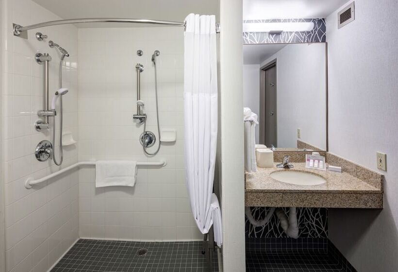 Номер Стандарт Адаптированный для Инвалидов, Hilton Garden Inn Sacramento/south Natomas