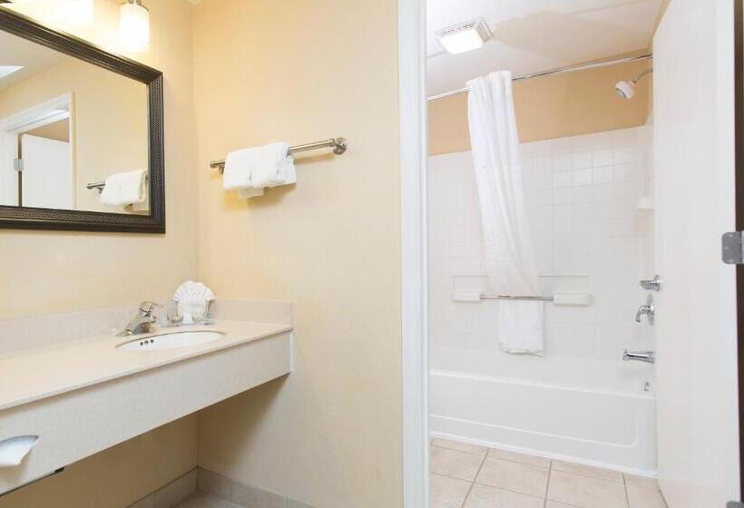 Номер Executive, Staysky Suites I Drive Orlando Near Universal