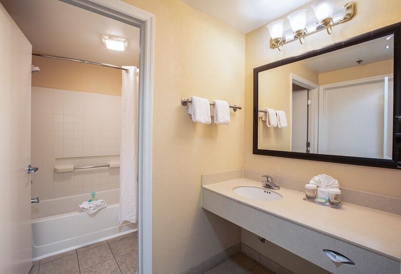 Номер Executive, Staysky Suites I Drive Orlando Near Universal