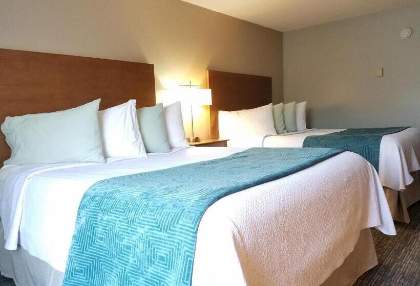 Номер Стандарт, Hampton Village Inn