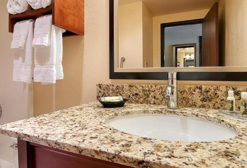 장애인을 위한 킹사이즈 침대 스탠다드 룸, Best Western Plus New Ulm