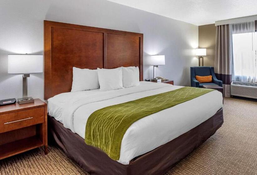带大床的标准间, Comfort Inn Brownsville I40