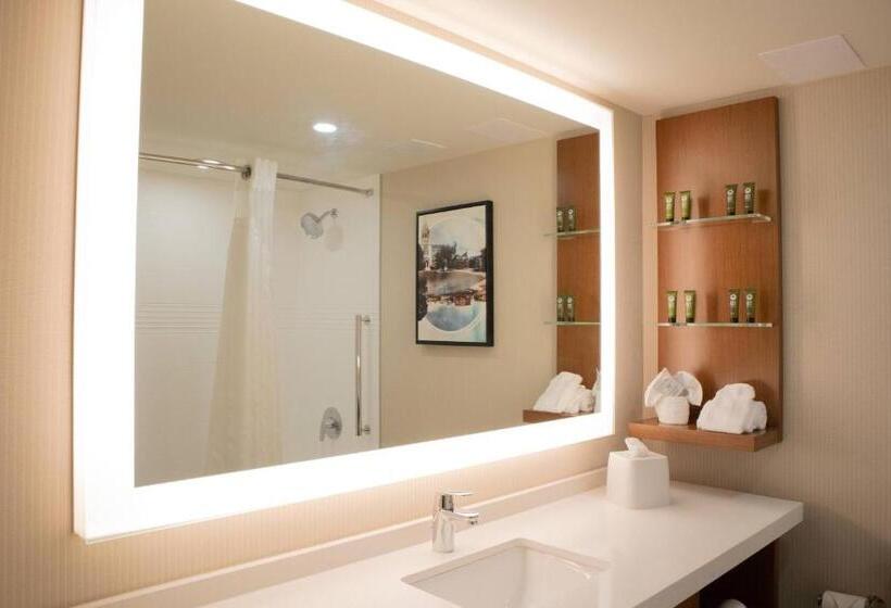 Номер Стандарт, Delta Hotels By Marriott Allentown Lehigh Valley