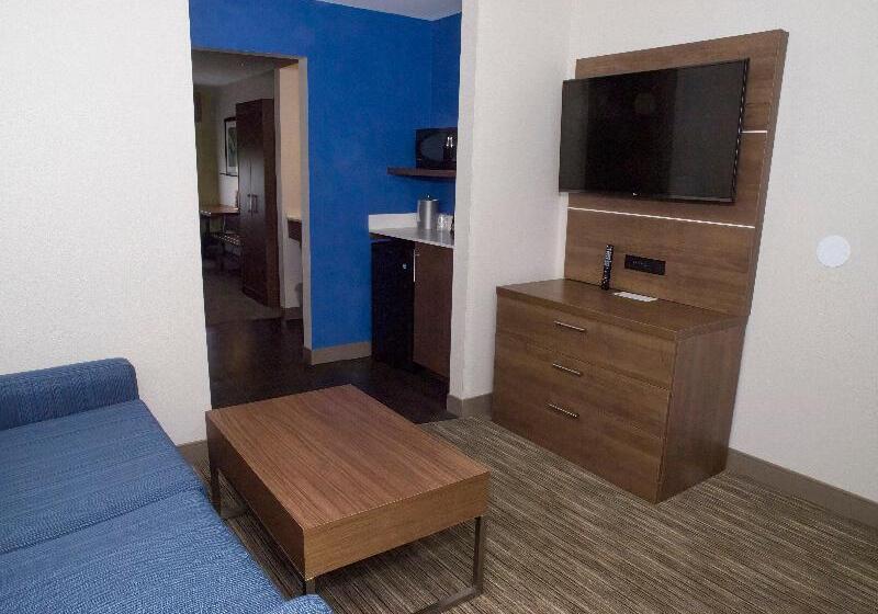 스위트 킹사이즈 침대, Holiday Inn Express Hotel & Suites Madison, An Ihg