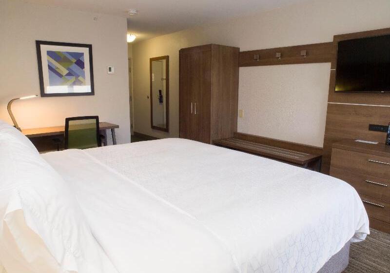 스탠다드 룸 킹사이즈 침대, Holiday Inn Express Hotel & Suites Madison, An Ihg