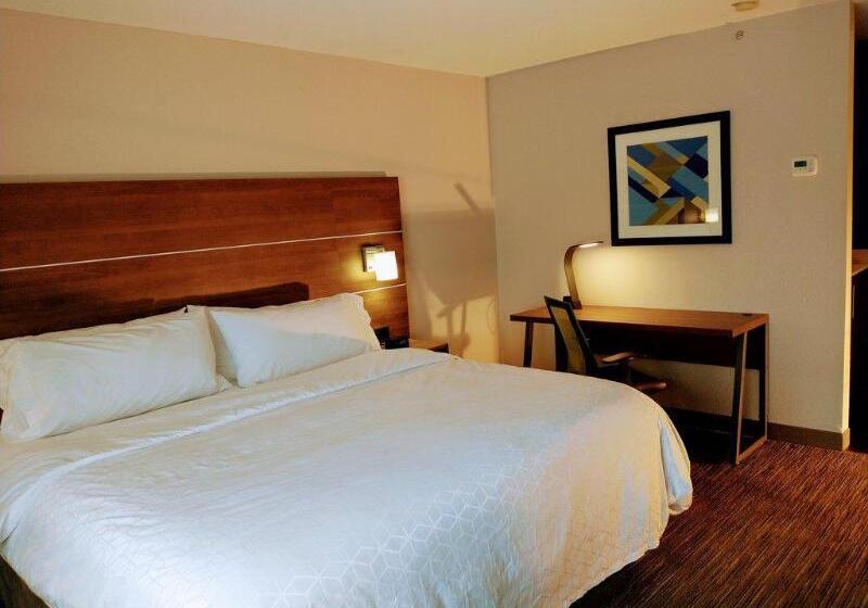 스탠다드 룸 킹사이즈 침대, Holiday Inn Express Hotel & Suites Madison, An Ihg