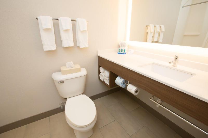 스탠다드 룸 킹사이즈 침대, Holiday Inn Express Hotel & Suites Madison, An Ihg