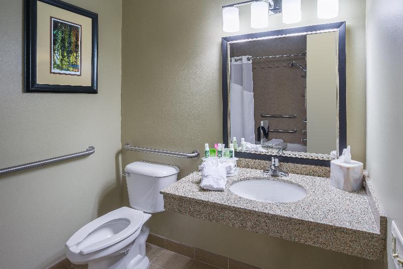 Номер Стандарт Адаптированный для Инвалидов, Holiday Inn Express Hotel & Suites St. Paul   Woodbury, An Ihg