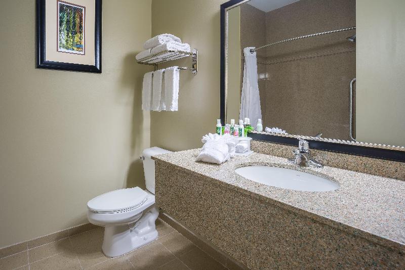 Стандартный Номер Кровать Кинг, Holiday Inn Express Hotel & Suites St. Paul   Woodbury, An Ihg
